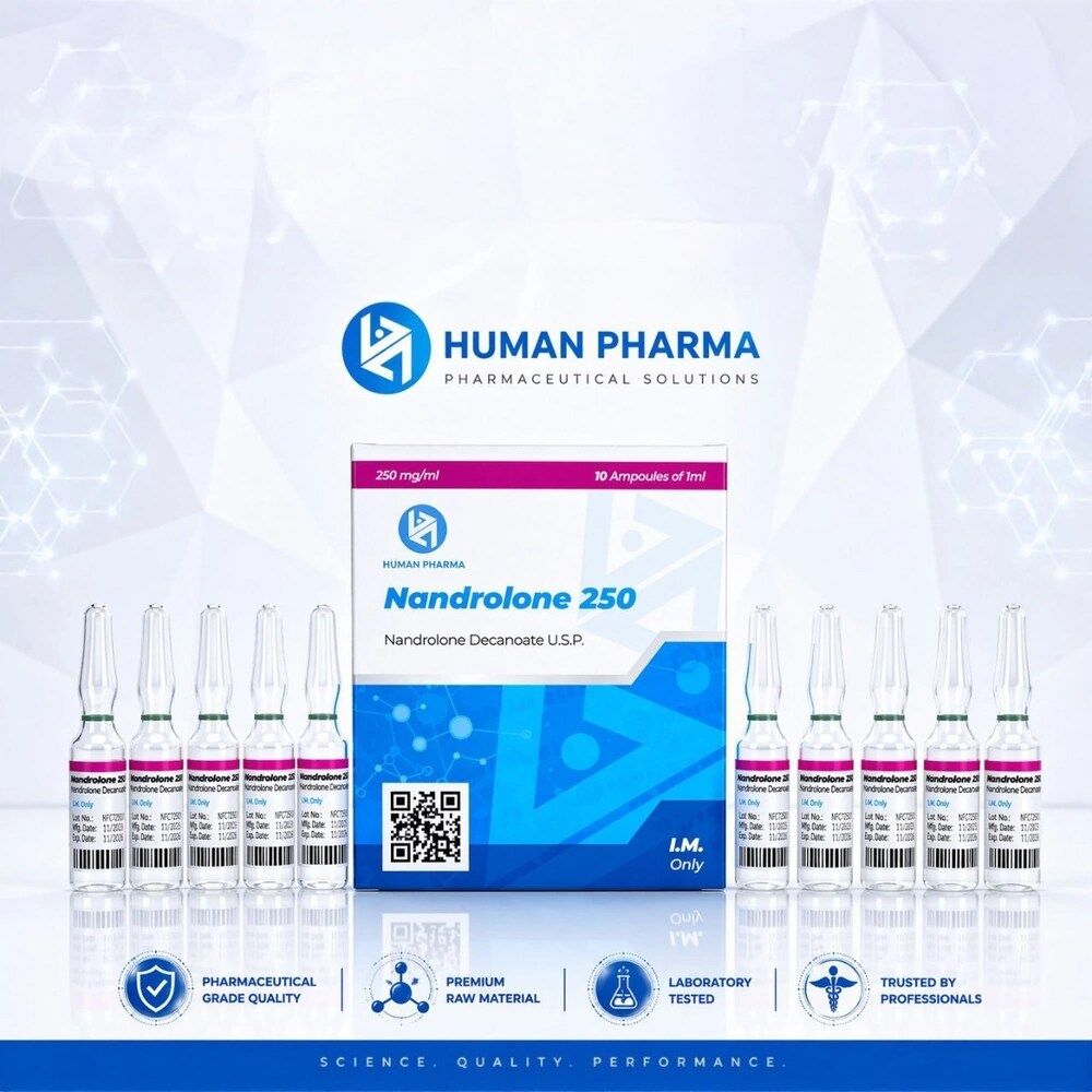 Nandrolone 250MG 10AMP/1ML – HUMAN PHARMA