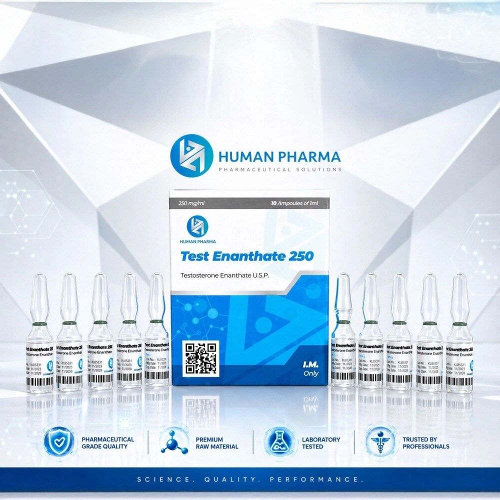 TEST ENANTHATE 250MG 10AMP/1ML – HUMAN PHARMA